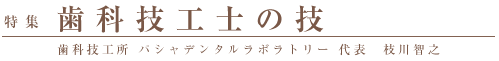 歯科技工士の技